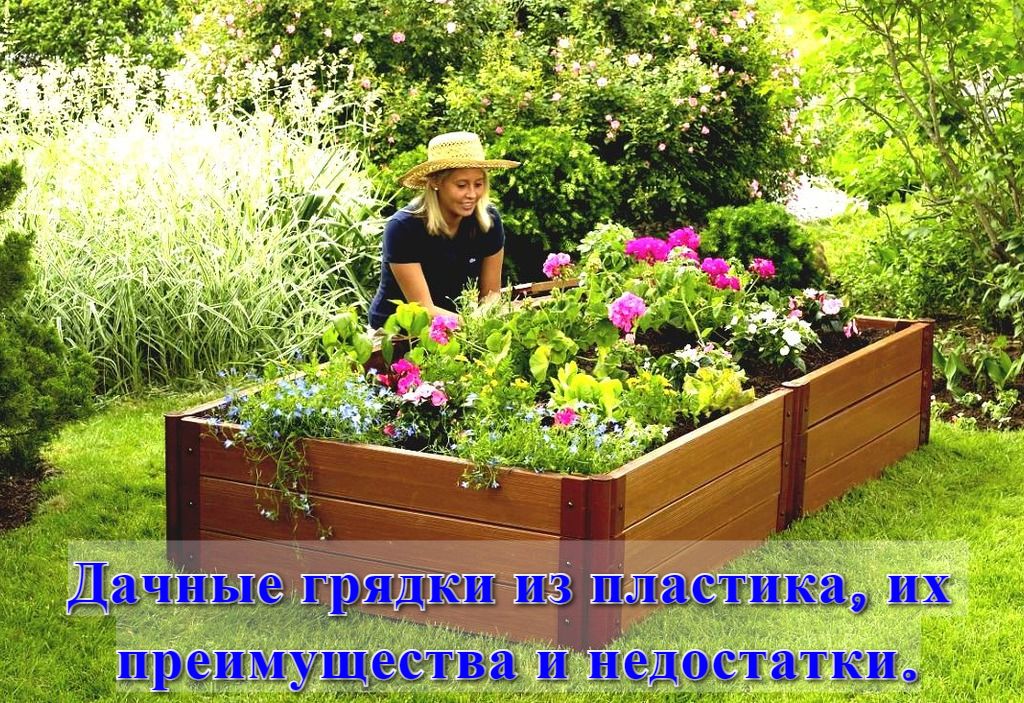 Дачные грядки из пластика, их преимущества и недостатки. Дачные грядки из пластика, их преимущества и недостатки.