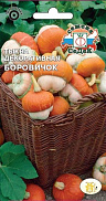 Семена тыквы Боровичек декоративная (Евро, 0,25) - фото