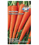 Семена морковь Первый сбор (Евро, 2) - фото