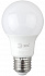 Лампа светодиодная LED, груша (A50-A65), 12 Вт, E27, 6500K холодный RED LINE LED  ЭРА