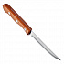 Нож кухонный Трамонтина Dinamic 12,7см для мяса, (2шт) 22300/205