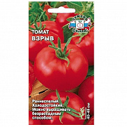 Семена томата Взрыв (Евро, 0,1) - фото