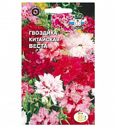Семена цветов Гвоздика Веста (вид китайская, смесь цветов) (Евро, 0,25) - фото