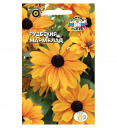 Семена цветов Рудбекия Мармелад (волосистая, желто-оранжевая) (Евро, 0,1) - фото