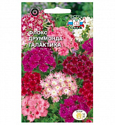 Семена цветов Флокс Друммонда Галактика (звездчатая, смесь цветов) (Евро, 0,25) - фото