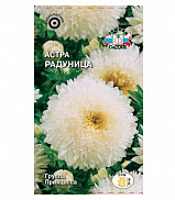 Семена цветов Астра Радуница (принцесса, белая) (Евро, 0,2) - фото