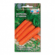 Семена моркови Нанка F1 (Евро, 200) - фото