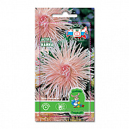 Семена цветов Астра Наина (игольчатая, кремово-розовая) ДУ (Евро, 0,2) - фото